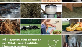 Broschüre: Fütterung von Schafen zur Milch- und Qualitätslämmererzeugung