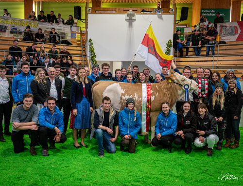 Bundeschampionat: Die Jungzüchter:innen zeigten ihren Einsatz