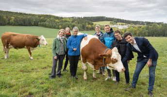 CowLEARNING für nachhaltige Rindfleisch- und Milchversorgung