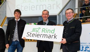 Rind Steiermark – neues Dach der steirischen Rinderbauern