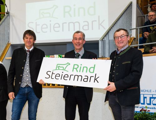 Rind Steiermark – neues Dach der steirischen Rinderbauern