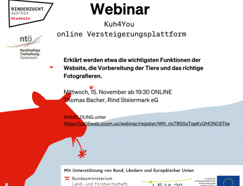 🌟 KOSTENLOSES WEBINAR AM 15. NOVEMBER UM 19:30 Uhr